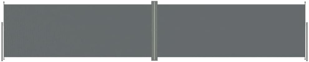vidaXL Seitenmarkise Ausziehbar Anthrazit 200x1000 cm