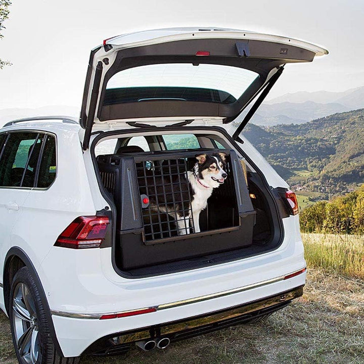 Ferplast Hundebox Auto, Atlas CAR 100 Scenic, extra Belüftung, Ablagefach, Doppelte Schiebeöffnung m