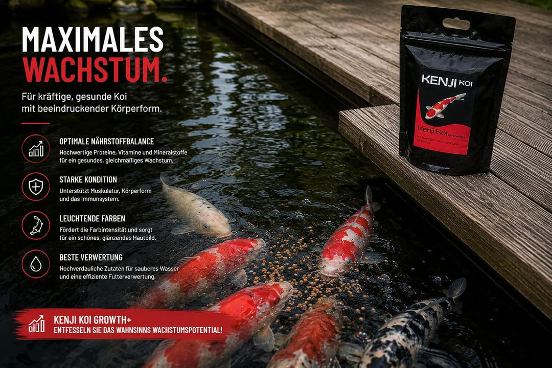 KENJI KOI Growth+ Koifutter 5kg 6mm Wachstumsfutter für den Koi | Schwimmendes Koifutter mit hochwer