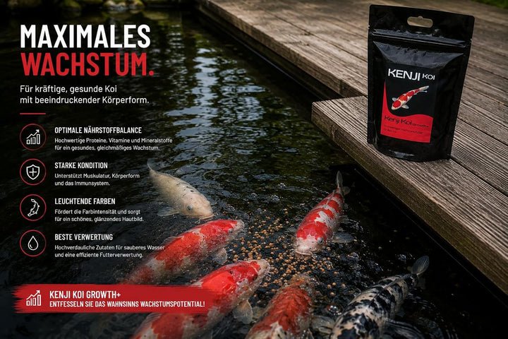KENJI KOI Growth+ Koifutter 5kg 6mm Wachstumsfutter für den Koi | Schwimmendes Koifutter mit hochwer
