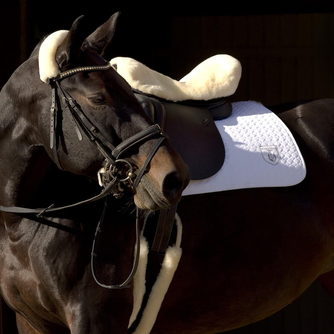 CHRIST Lammfell Sattelgurt/Konturgurt Dressur, anthrazit 60 cm anthrazit-schwarz, 60 cm anthrazit-sc