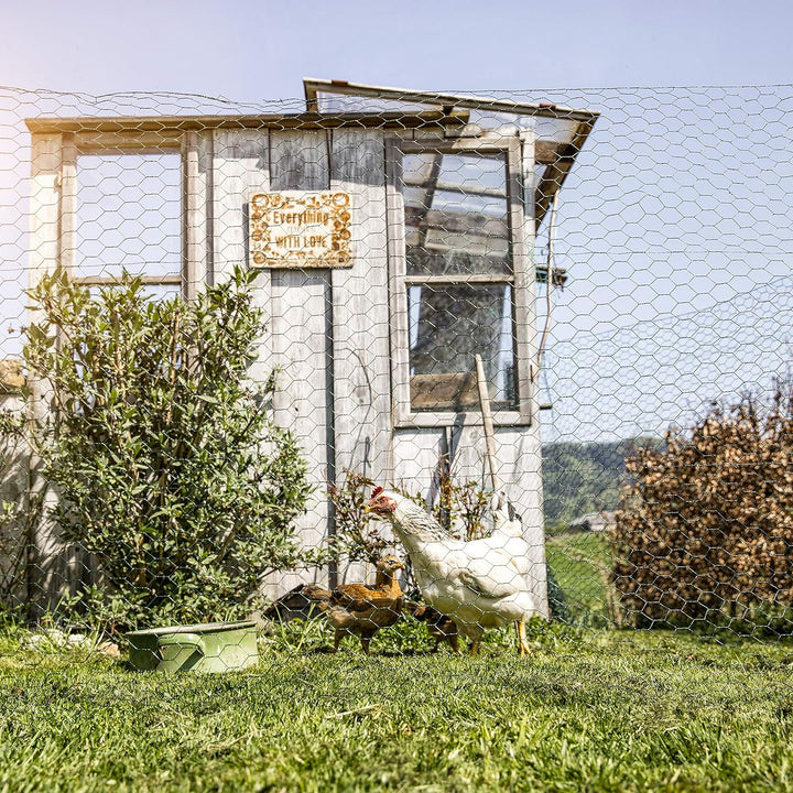 Windhager Kleintiergeflecht verzinkt, 1 x 10 m 10 x 1 m 25 mm, 10 x 1 m 25 mm