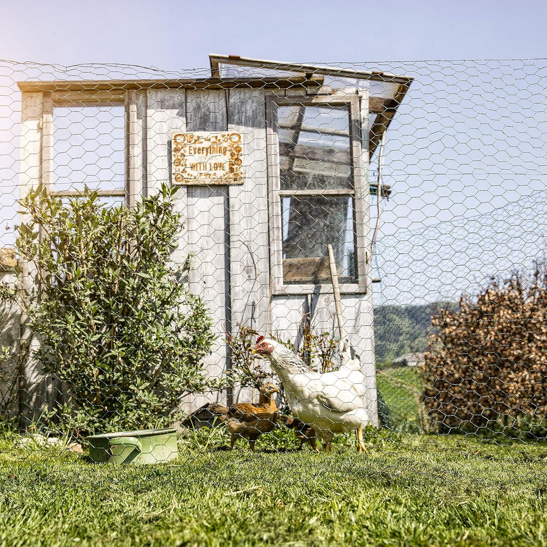 Windhager Kleintiergeflecht verzinkt, 1 x 10 m 10 x 1 m 25 mm, 10 x 1 m 25 mm