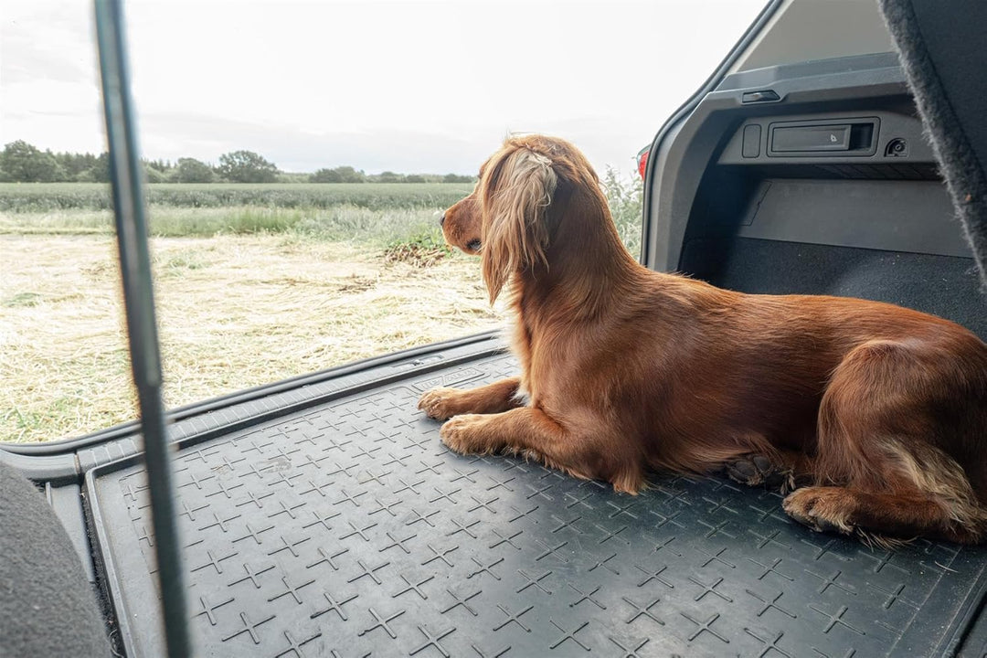 Travall CargoMat Liner Kofferraumwanne Kompatibel Mit BMW X1 (2009-2015) TBM1068 - Massgeschneiderte