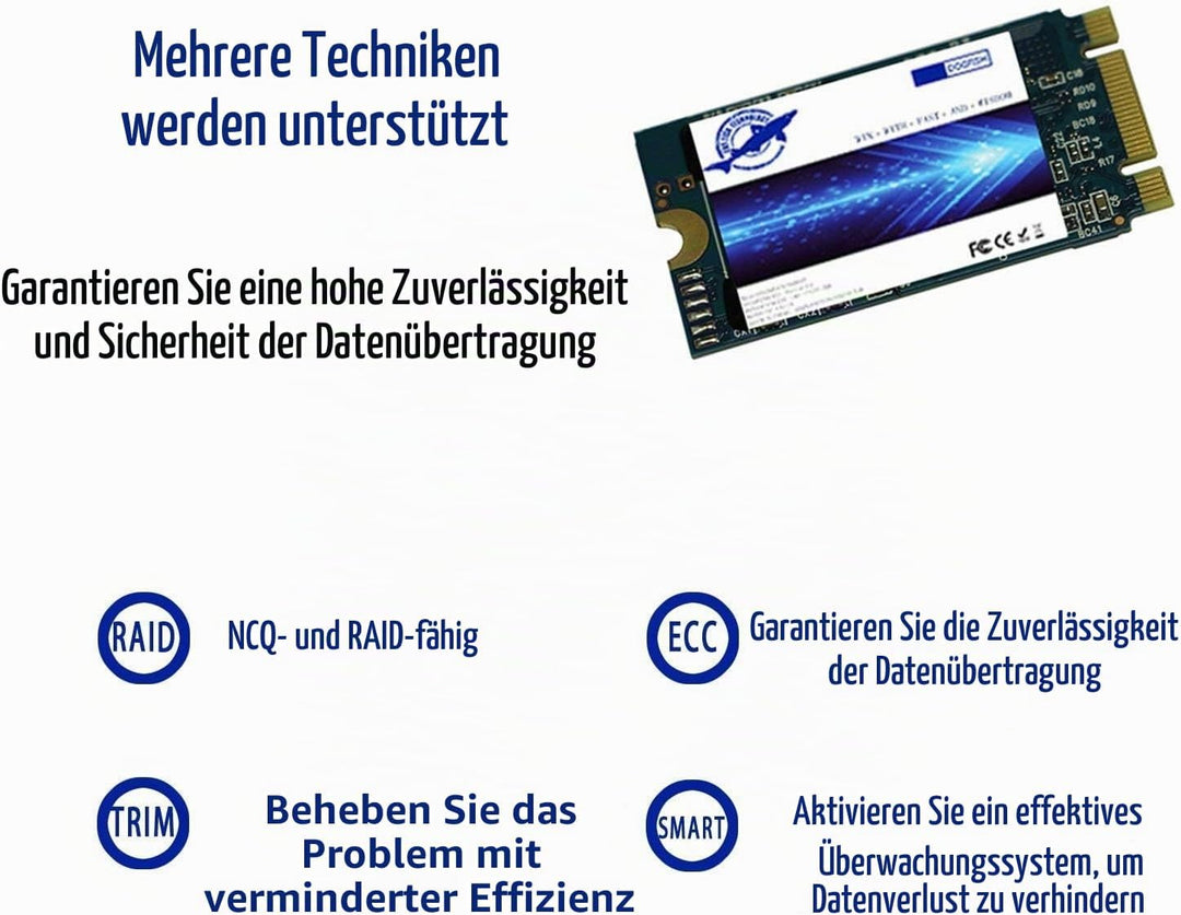Dogfish SSD M.2 2242 1TB Solid State Drive Ngff Internen Desktop Computer 6Gb/s High Performance Fes