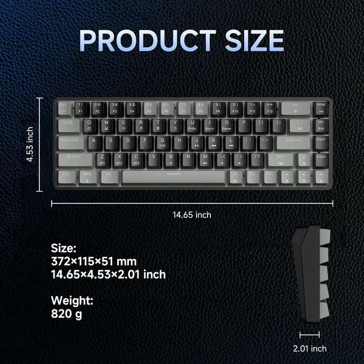 Dierya DK68 Kabellose Gaming Tastatur Bluetooth/2.4GHz/USB-C,68 Tasten RGB Beleuchtung Mechanische T