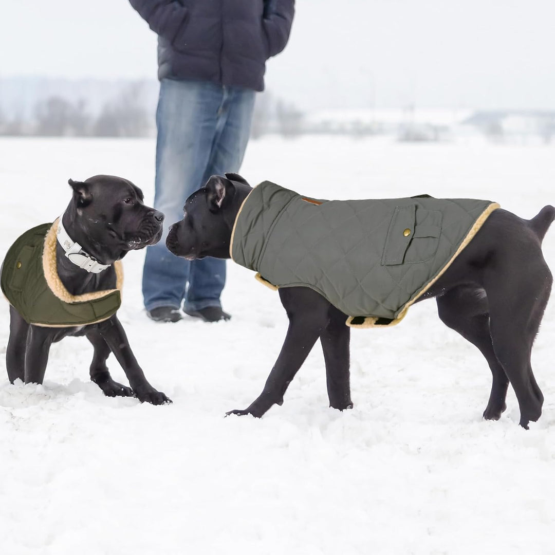 Wintermantel Hundemantel, Warme Winterjacken mit Fleece für Hunde,Hundejacke Hundekleidung Hundepull