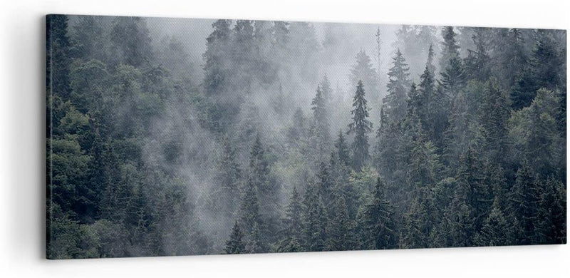 Wandbilder Dekoration Wohnzimmer Wald Baum Natur Panorama Bilder auf Leinwand 120x50cm Leinwandbild