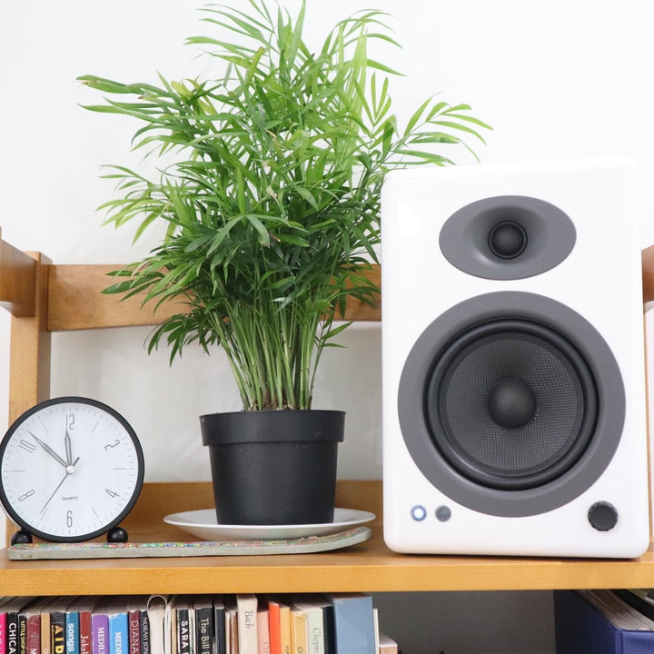 Audioengine Regallautsprecher A5 Plus, 150-W-Bluetooth-Lautsprecher | Für Heimkinos und Studios A5+