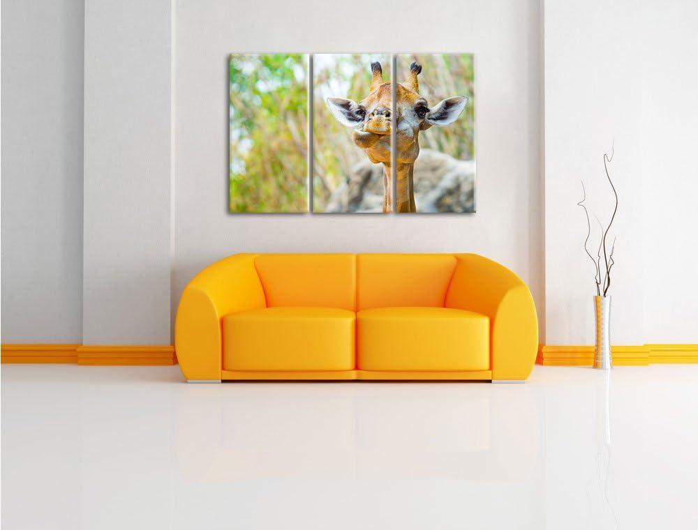 Pixxprint Giraffe in der Natur als Leinwandbild - Grösse: 3-Teilig (120x80cm) - Wandbild - Kunstdruc