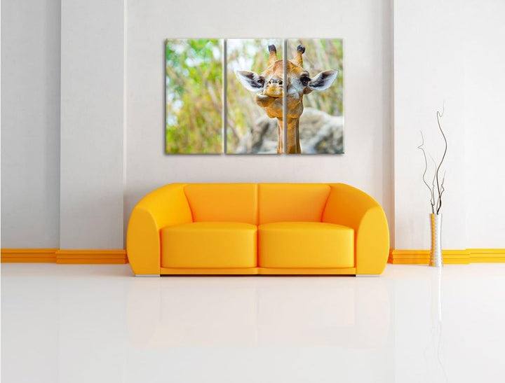 Pixxprint Giraffe in der Natur als Leinwandbild - Grösse: 3-Teilig (120x80cm) - Wandbild - Kunstdruc