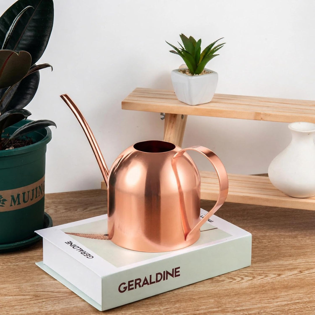 IMEEA 1L Giesskanne，Blumengiesskanne Edelstahl mit Langer Auslauf Moderner Giesskanne für Pflanzen Z
