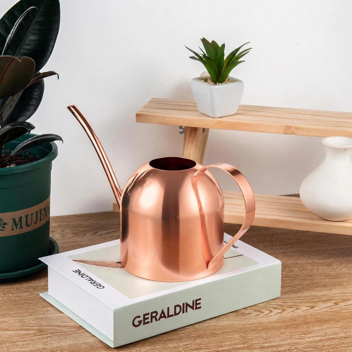 IMEEA 1L Giesskanne，Blumengiesskanne Edelstahl mit Langer Auslauf Moderner Giesskanne für Pflanzen Z