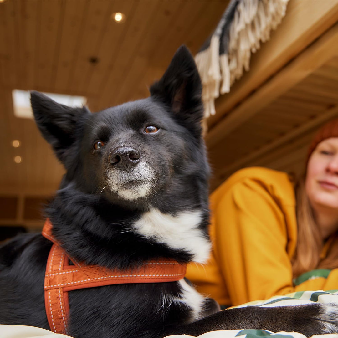 Hurtta Casual Hundegeschirr ECO (Blau, 60-70cm) 60-70cm Blau, 60-70cm Blau