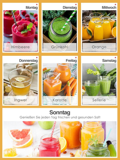 Slow Juicer Entsafter, HOUSNAT Entsafter Gemüse und Obst, Profi Entsafter mit Ruhigem Motor │Umkehrf