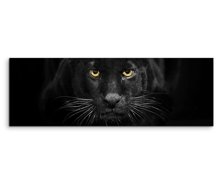 Sinus Art XXL Panoramabild 150x50cm Tierfotografie – Schwarzer Leopard mit bernsteinfarbenen Augen N
