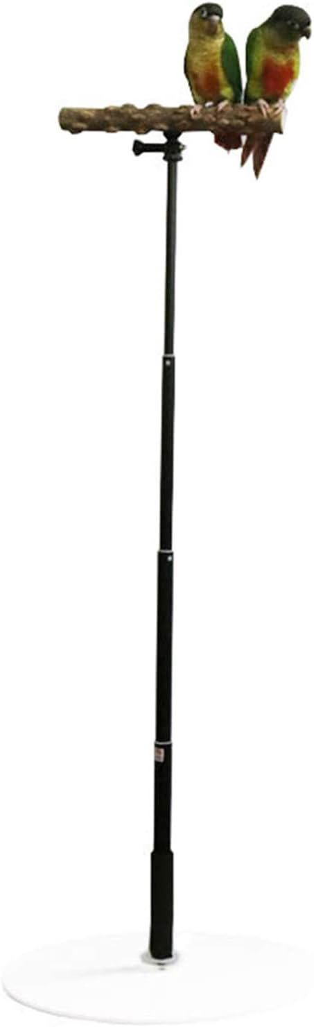 Papageien Sitzstange Holzständer, Bequemes Papageien-Desktop-Ständer, Papageienspielzeug, Einziehbar