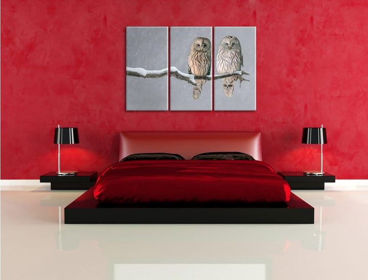 Pixxprint 2 Schneeeulen Bild 3-Teiler Leinwandbild 120x80 Bild auf Leinwand