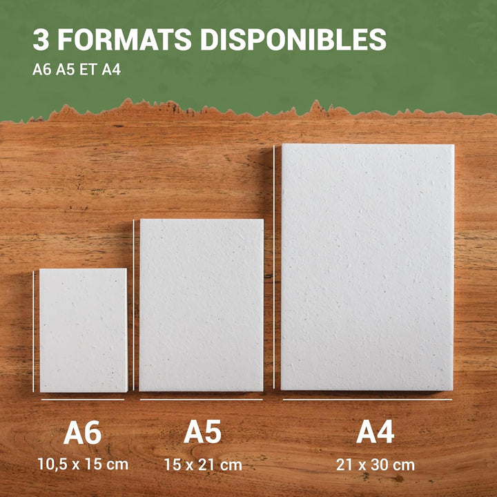 BLOOMING Aussaatpapier - 50 Blatt - DIN A6 150 g/m² - 10,5 x 15 cm - weiss - Blanko - biologisch abb