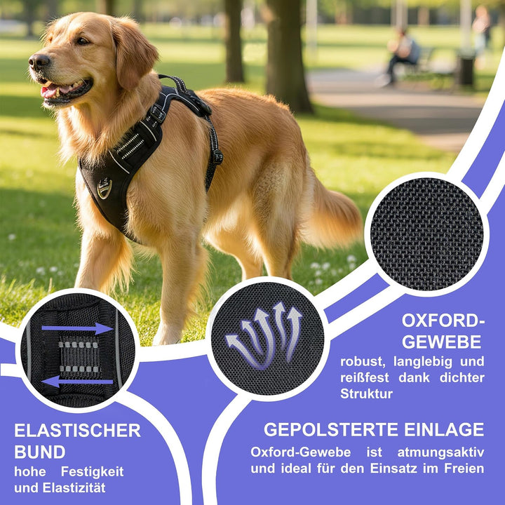 Reichstadt Pets Hundegeschirr Mini Hunde 25RSP083 Black XS | Verstellbares No-Pull Geschirr mit Grif