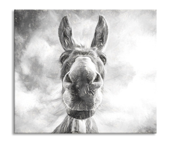 Lustiger Esel Kunst Herdabdeckplatte & Spritzschutz aus Echtglas | Für Herd-Kochfelder | 60x52 cm