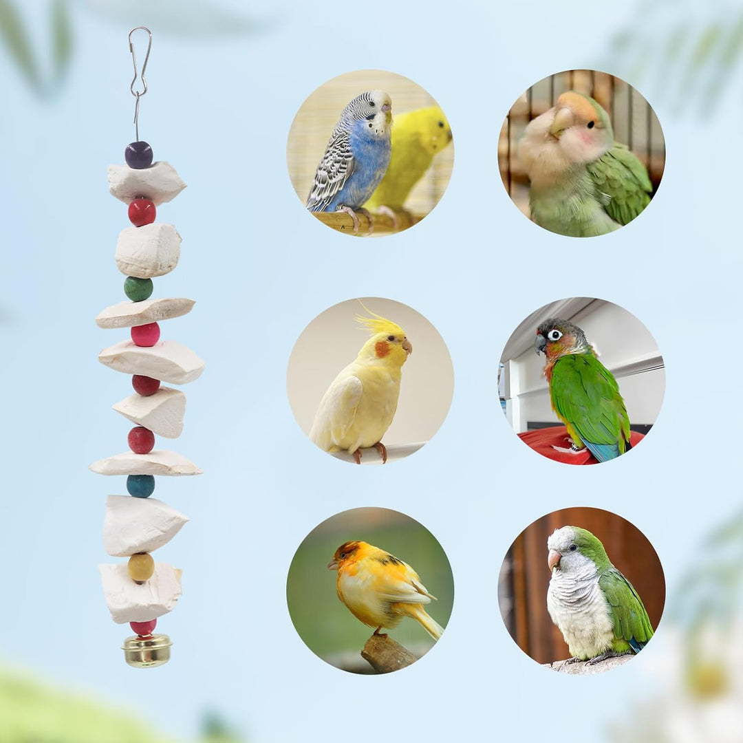 2er-Set Vogelspielzeug mit Sepiaschale – Wellensittich Spielzeug & Schnabelschleifstein, Vogelkäfig-