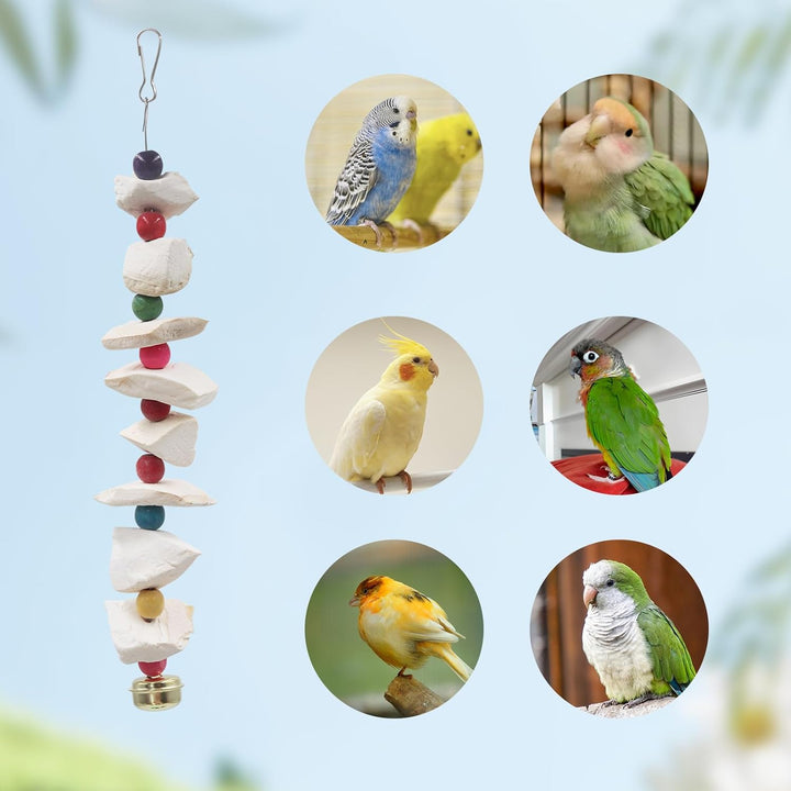 2er-Set Vogelspielzeug mit Sepiaschale – Wellensittich Spielzeug & Schnabelschleifstein, Vogelkäfig-