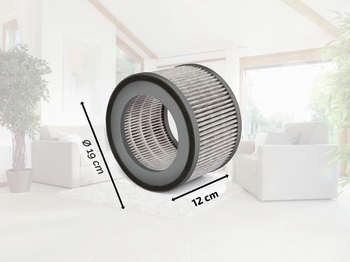 Soehnle Ersatzfilter kompatibel mit Airfresh Clean 300 für eine optimale Luftqualität, austauschbare