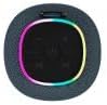 Canyon Bluetooth Speaker BSP-8 grau