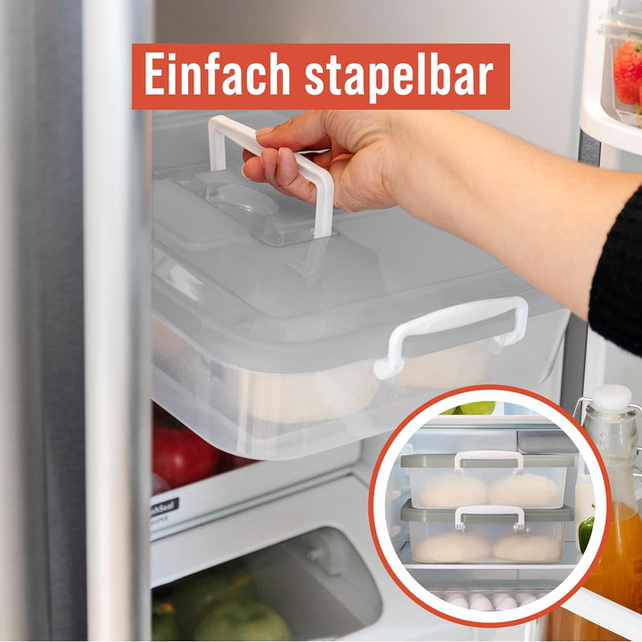 Chef Pomodoro 2 x Pizzaballenbox mit Deckel (35,6 x 27,9 cm), Teigbox Pizza, Pizzaboxen Teig, Pizzat