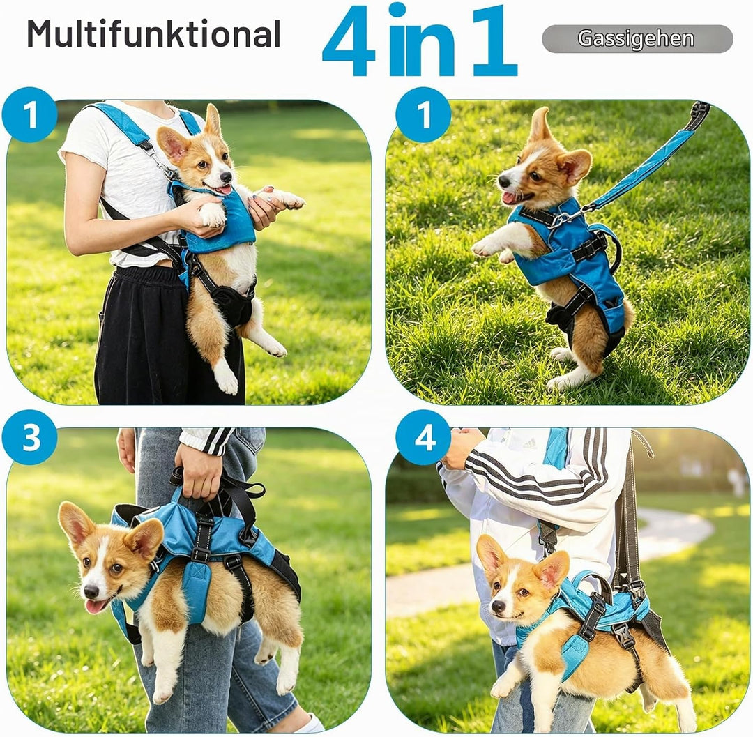 PETCUTE Haustier Rucksack Hundetragetasche,Verstellbare Brust Hunderucksack für Klein Hunde Katzen,T
