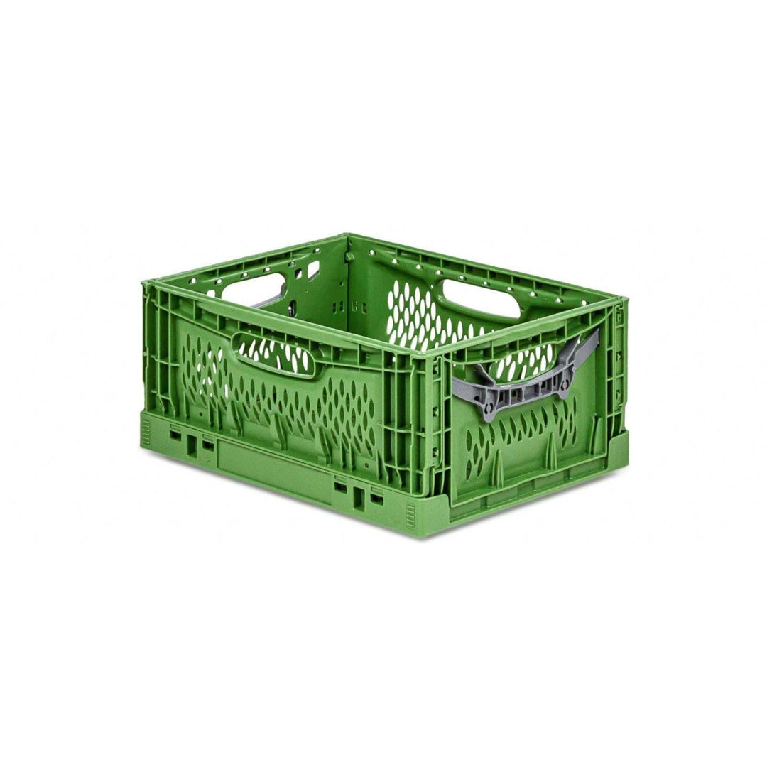 PROREGAL Stabile Profi-Klappbox Chameleon in Industriequalität | HxBxT 18x30x40cm | 17 Liter | klapp
