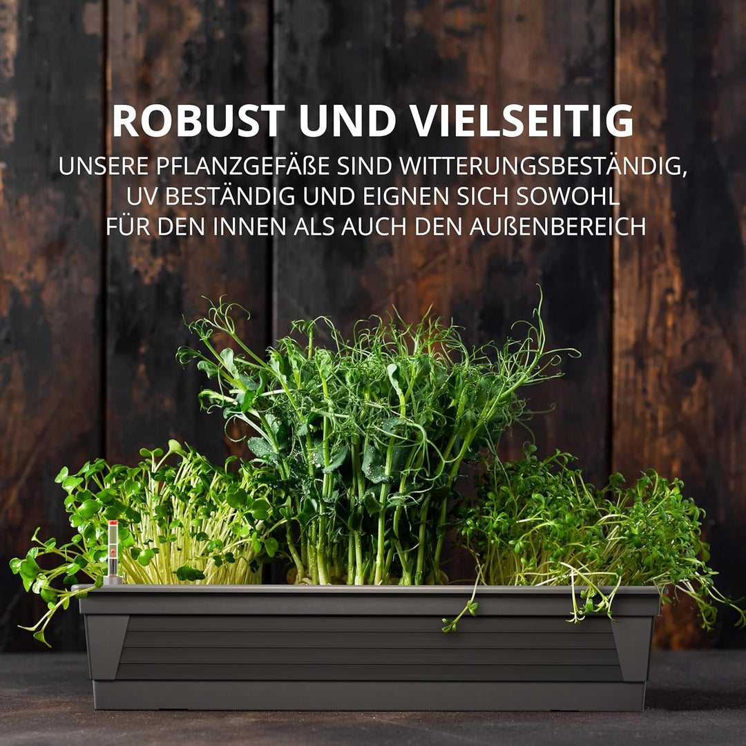 Blumenkasten Milano 3er Set 60 cm lang Farbe Anthrazit mit Wasserspeicher und Wasserstandsanzeige Pf