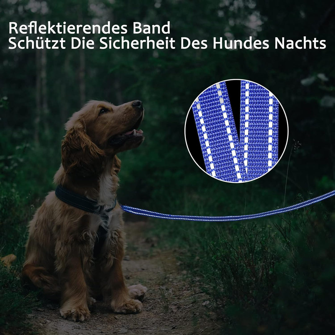 Demigreat Schleppleine für Hunde, 3m / 5m / 10m / 15m / 20m Robuste Lange Hundeleine Reflektierend T