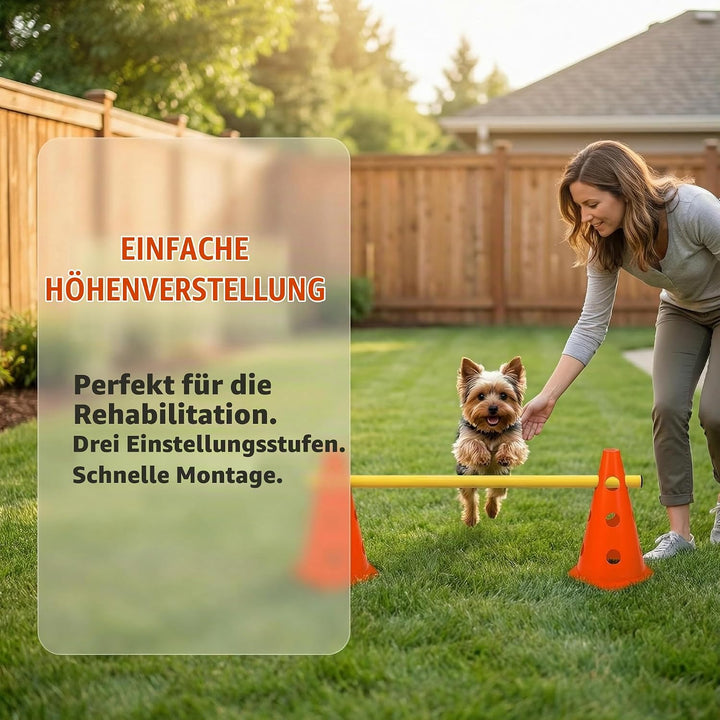 5er Sports Steckhürdenset Cavaletti Agility Set Hunde Hürden Steckhürdenset 10 Kegel 23cm + 5 Stange