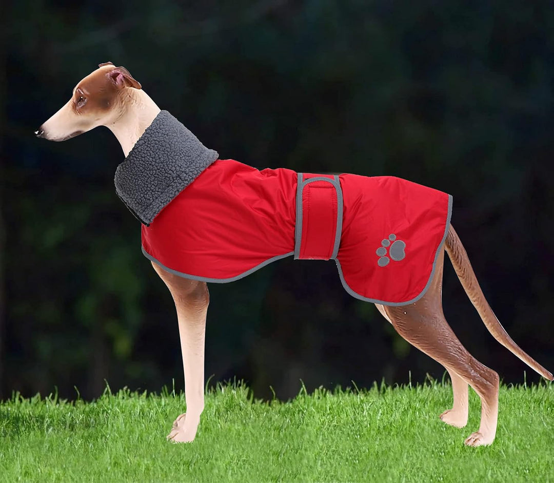Geyecete Hunde Wintermäntel fur Windhund,Hundejacken mit plüschfutter,Wasserdichter Regenmantel Wind