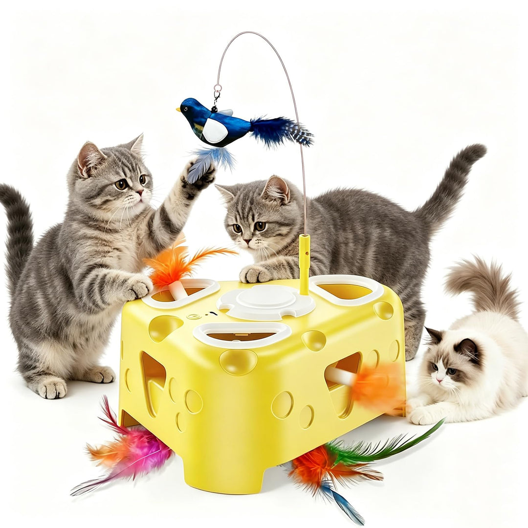 Interaktives Katzenspielzeug Elektrisches Cat Toy: Self-Playing Tool for Indoor Cats - Gleitende Fed
