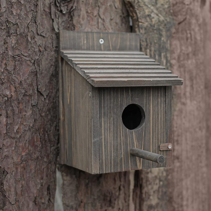 Vogelhaus aus Holz für draussen mit Stange für Finken, Bluebird, Kardinäle, hängendes Vogelhaus, Gar