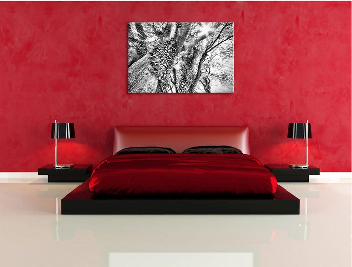 Pixxprint Baum im Sonnenlicht als Leinwandbild/Grösse: 100x70 / Wandbild/Kunstdruck/fertig bespannt,