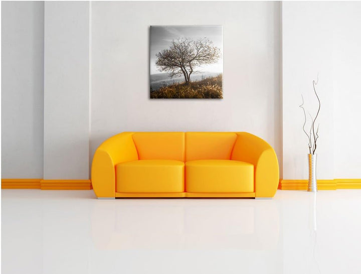 Pixxprint Einsamer Baum auf Berg als Leinwandbild/Grösse: 70x70 cm/Wandbild/Kunstdruck/fertig bespan