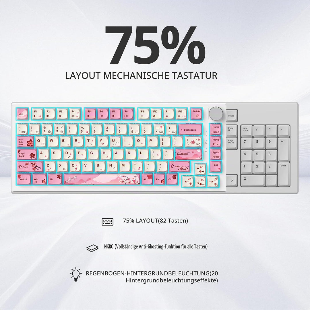 SOLIDEE Verkabelte 75% Mechanische Gaming-Tastatur,hot-swap-fähige Mechanische Tastatur mit Gasket S