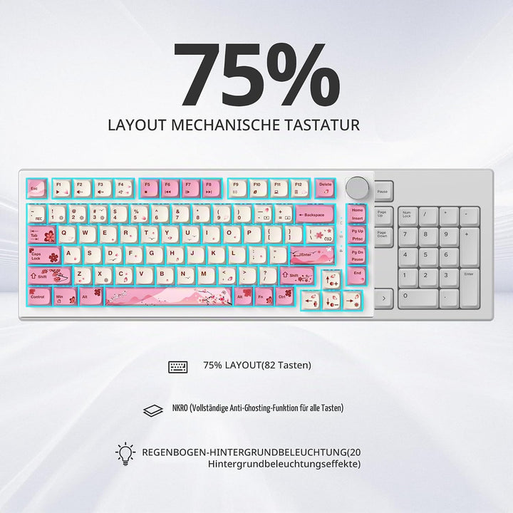 SOLIDEE Verkabelte 75% Mechanische Gaming-Tastatur,hot-swap-fähige Mechanische Tastatur mit Gasket S