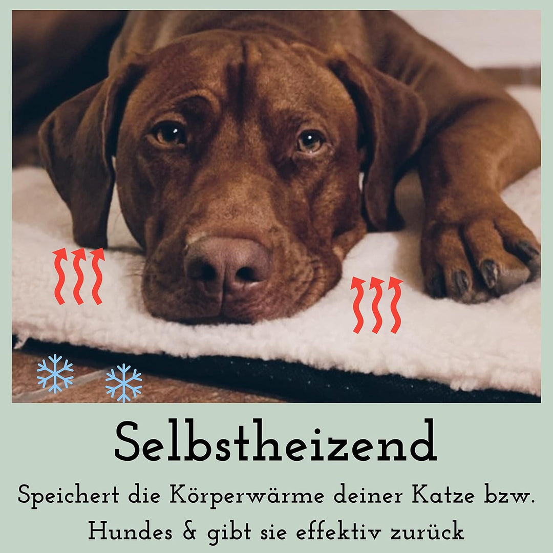 Fellou Heizdecke Katze 60 x 40 cm - Selbstheizende Decke Katze - Waschbar & Knisterfrei - Wärmedecke