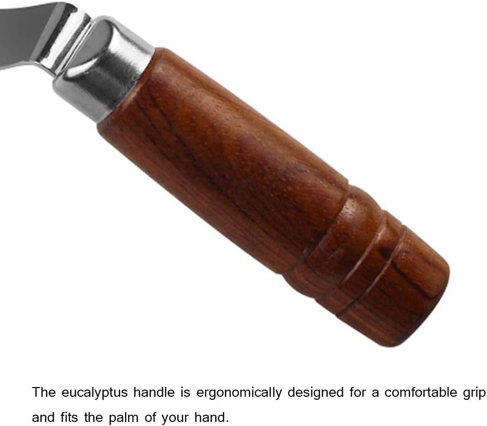 Stainless Steel Coconut Opener Knife Shell Opener Fruit Vegetable Meat Extractor Kitchen Tools