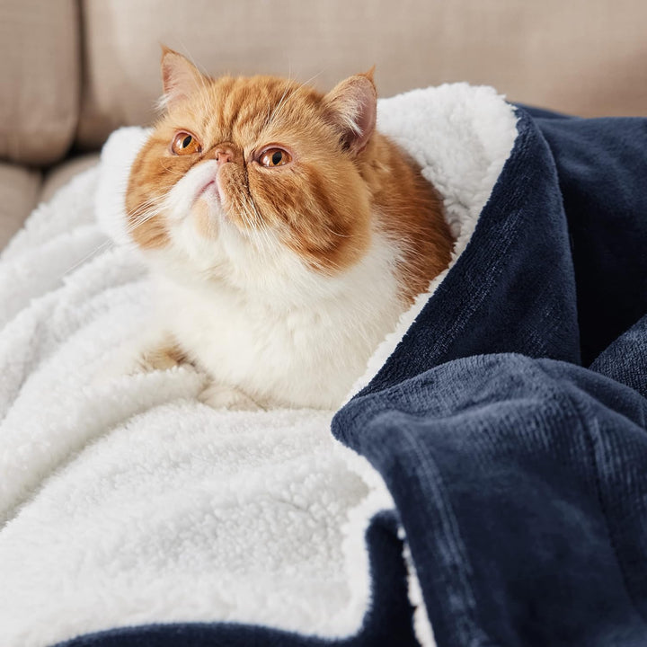 BEDSURE Kuscheldecke - Warm Sherpa Wolldecke & Sofadecke, Flauschig Sofaüberwurf Decke, Dicke Couchd