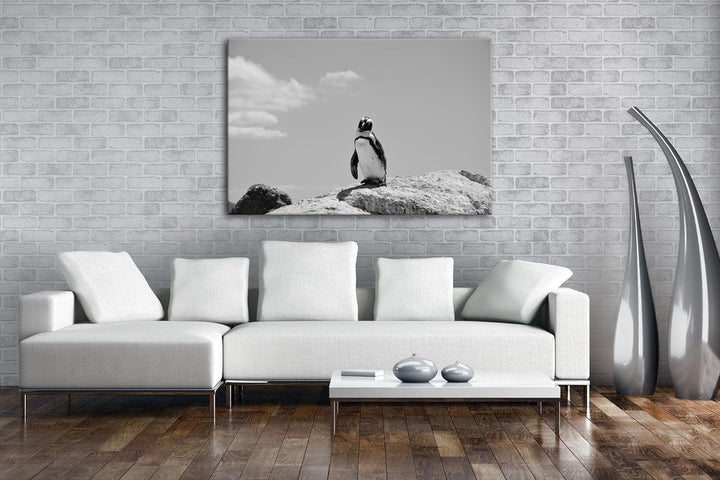 deyoli Zucker süsser Strand Pinguin Effekt: Schwarz/Weiss Format: 80x60 als Leinwandbild, Motiv fert
