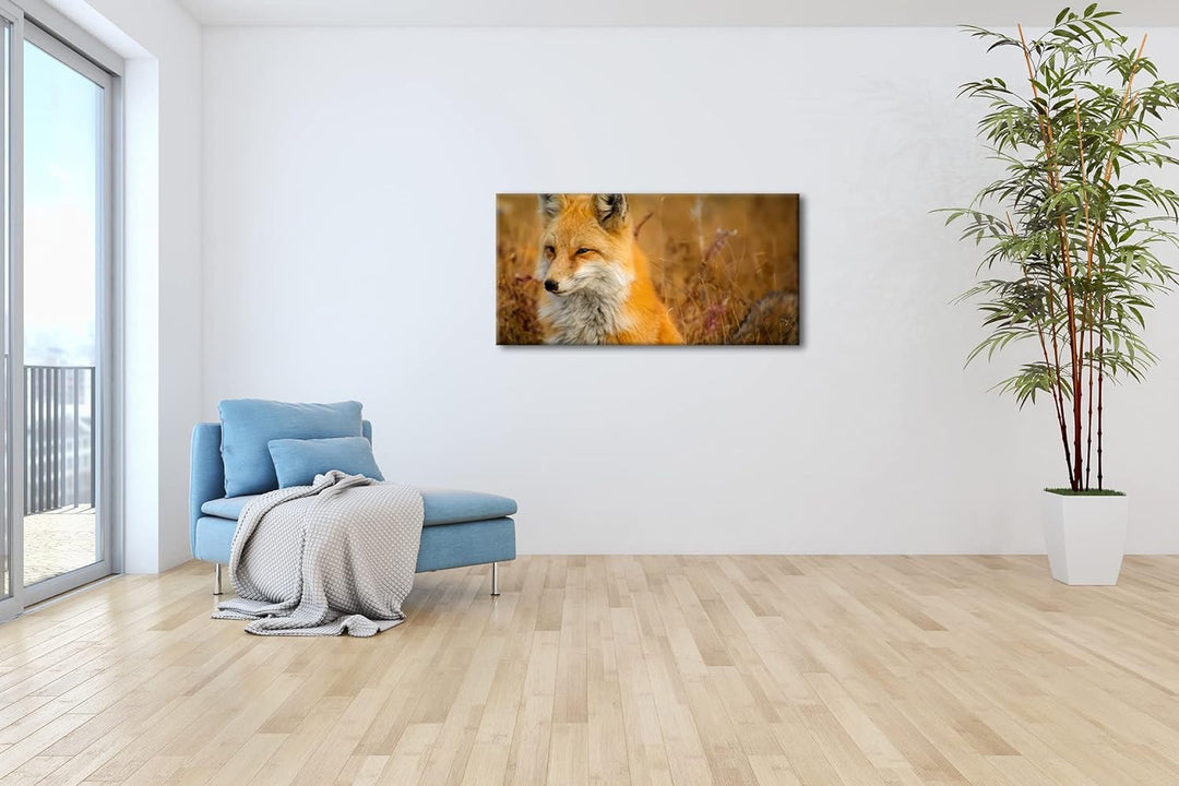 majestätischer Fuchs Panorama 80x40 cm als Leinwandbild, Motiv fertig gerahmt auf Echtholzrahmen, Ho