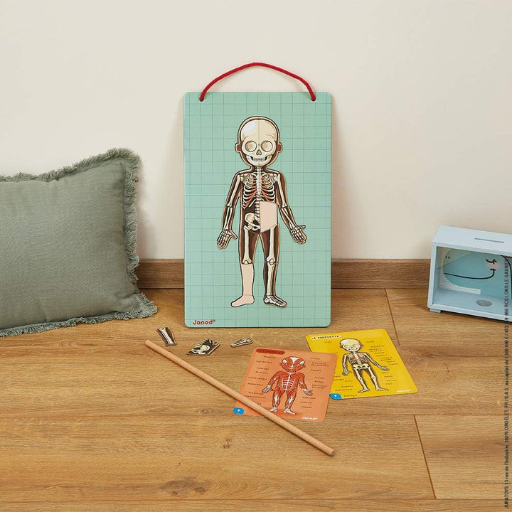 Janod Bodymagnet Educational Human Body Game - Anatomy, Organs, Skeleton, Muscles - 76 Magnetic Piec
