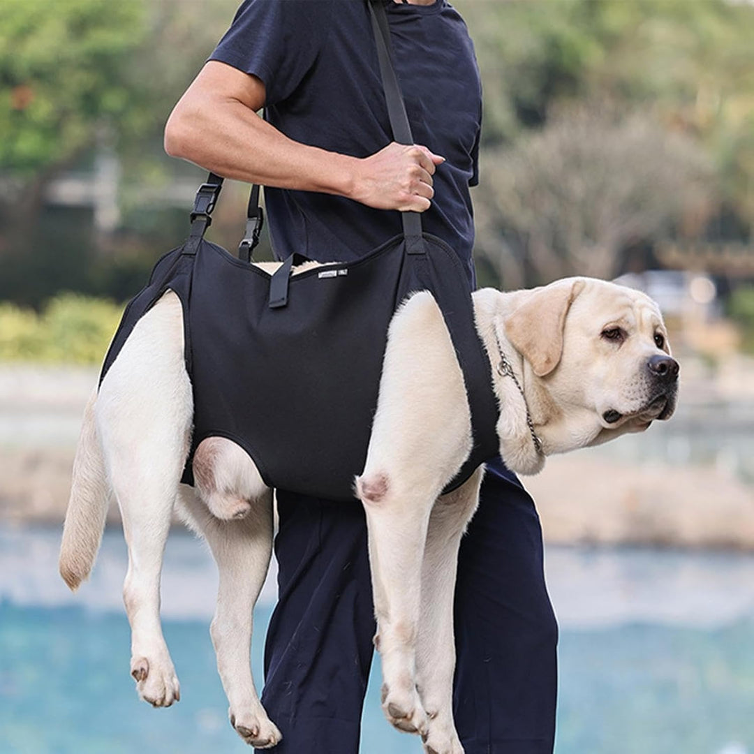Hundetragegeschirr | Haustier-Rehabilitations-Tragegurt | Hundetragetuch | Hebegeschirr für Hunde |