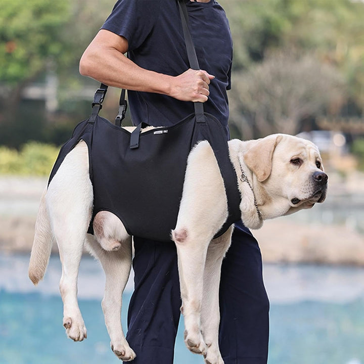Hundetragegeschirr | Haustier-Rehabilitations-Tragegurt | Hundetragetuch | Hebegeschirr für Hunde |
